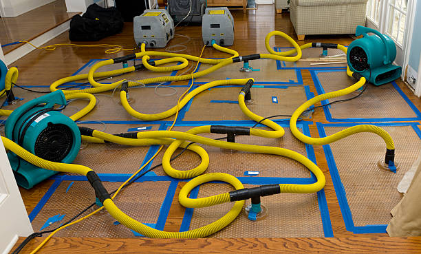 Professional Water Damage Repair technician working in Orange, MA